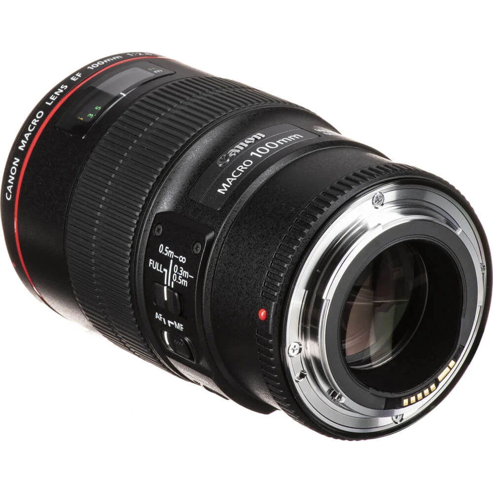 Canon MACRO LENS EF 100㎜ 1:2.8 L IS USM Lente Canon Ef 100mm F28l Is Usm Macro KaBuM
