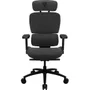 Cadeira Ergonômica Thunderx3 Xtc Loft Cinza