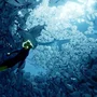 Jogo Abzû Ps4 Novo