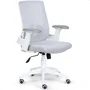Cadeira De Escritório Tela Mesh Diretor Giratória Ergonomica P310 Vision Branco